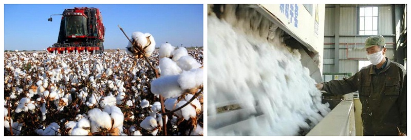 星空·综合体育医纺